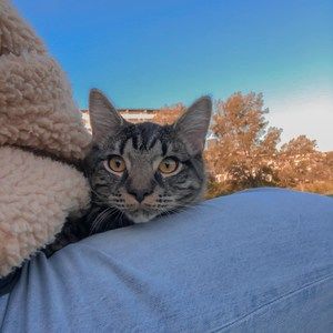 Meet your Posher, Alyn